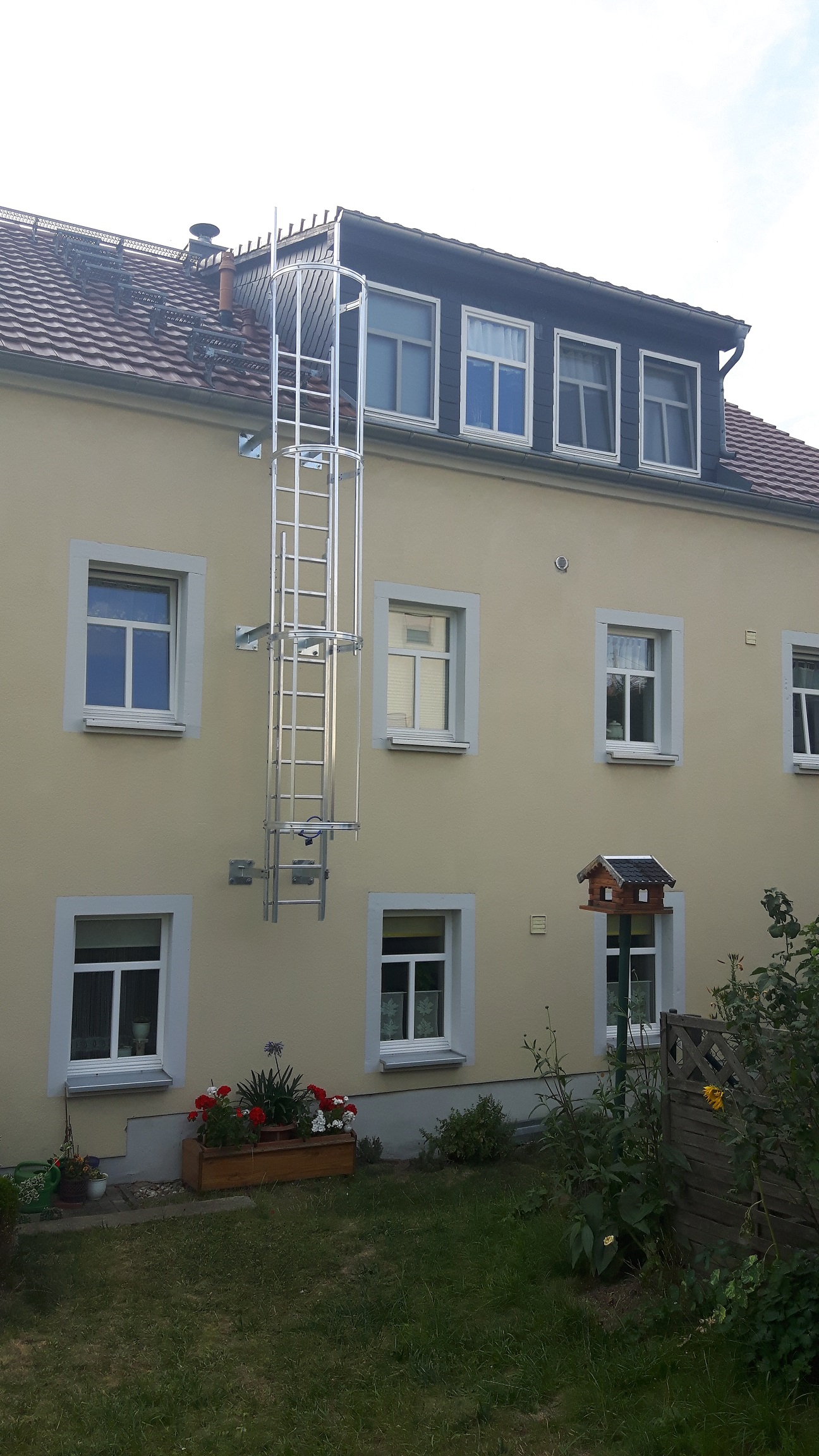 Einzügige Steigleiter mit Rückenschutz, Stahl verzinkt, Steighöhe 4,76 m Einzügige Steigleiter mit Rückenschutz, Stahl verzinkt, Steighöhe 4,76 m