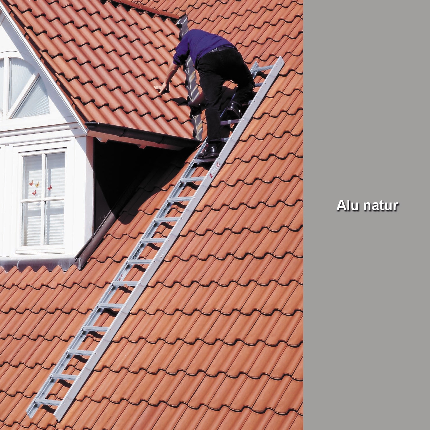 Euroline Premium Alu-Dachauflegeleiter, Alu natur PREMIUM line Alu-Dachauflegeleiter, Alu natur, 7 Sprossen