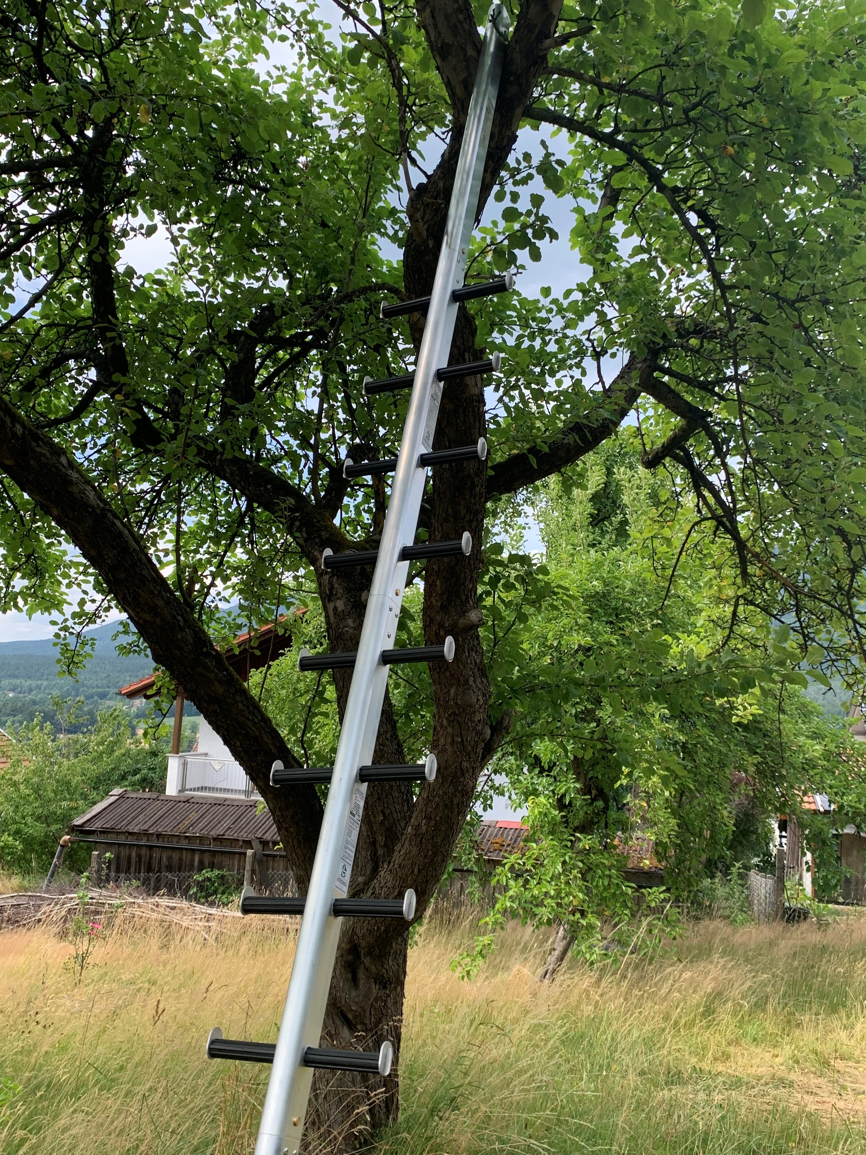 Sprossenteil "Tiroler Steigtanne"