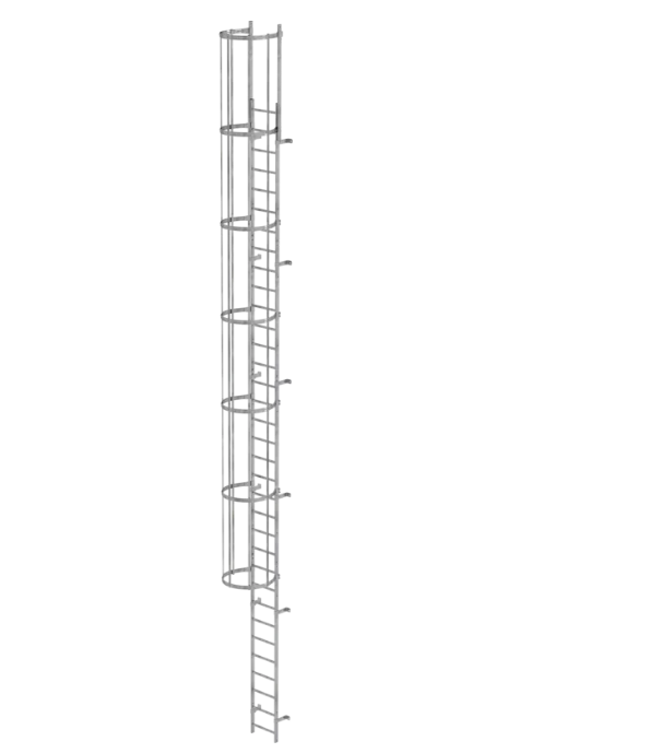 Einzügige Steigleiter mit Rückenschutz, Edelstahl, Steighöhe 5,60 m