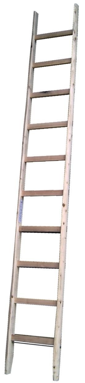 Sprossenanlegeleiter, 10 Sprossen, 3,00m lang
