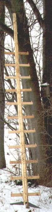 Einholm-Baumleiter, 7 Sprossen, 3,05m lang