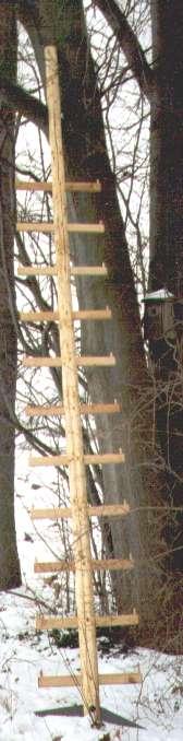 Einholm-Baumleiter, 7 Sprossen, 3,05 m lang