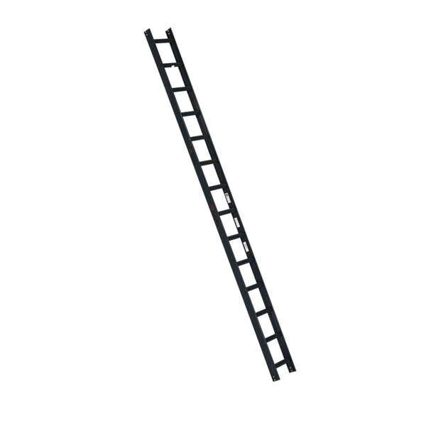 PREMIUM line Alu-Dachauflegeleiter, RAL 7016 anthrazit, 14 Sprossen